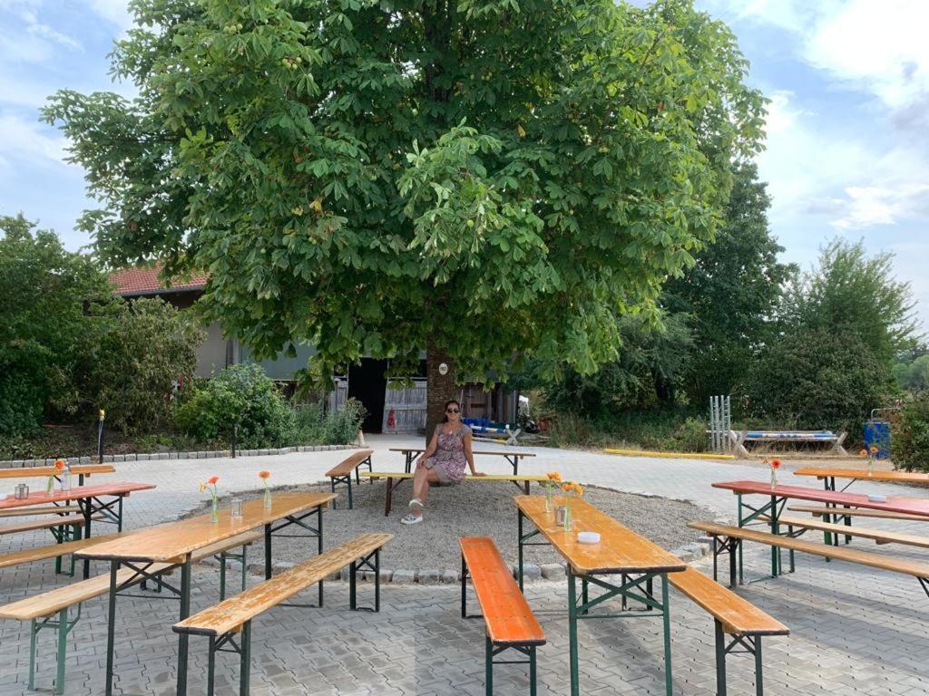 Reitschule Kronwitter Mainbernheim Экстерьер фото