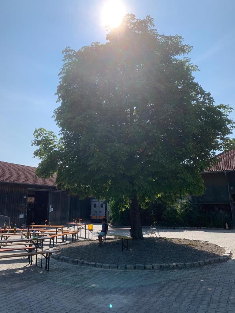 Reitschule Kronwitter Mainbernheim Экстерьер фото